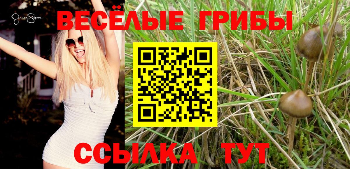 Галлюциногенные грибы ЛСД Назрань