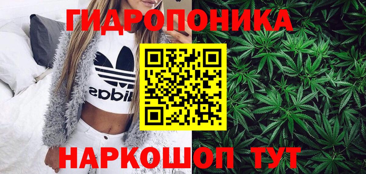 Бошки Шишки OG Kush  Вход с VPN  Каннабис Amnesia  Назрань  МАРИХУАНА ГИДРОПОН 